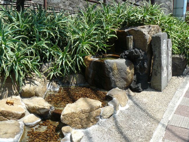 ���C�̓��E���̓�