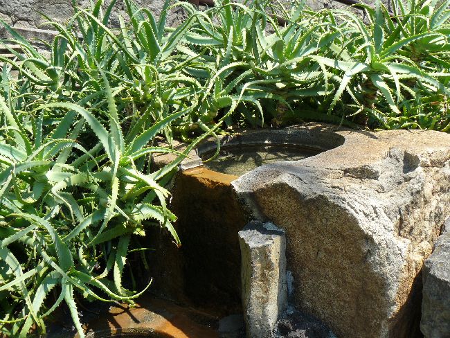 ���C�̓��E���̓�