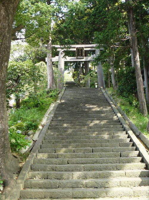 �ɓ��R�_��