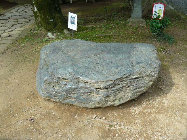 �ɓ��R�_��