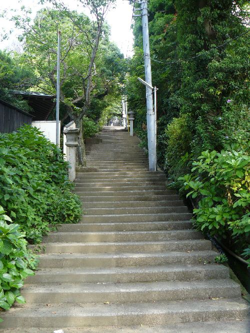 �ɓ��R�_��