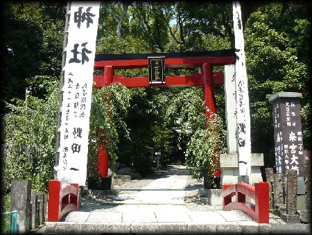 来宮神社の境内正面に設けられた朱色の鳥居と神橋