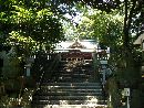 来宮神社参道の石段と石造狛犬と石造燈籠