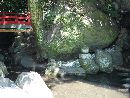 来宮神社の境内にある神聖視され信仰の対象となっている巨岩
