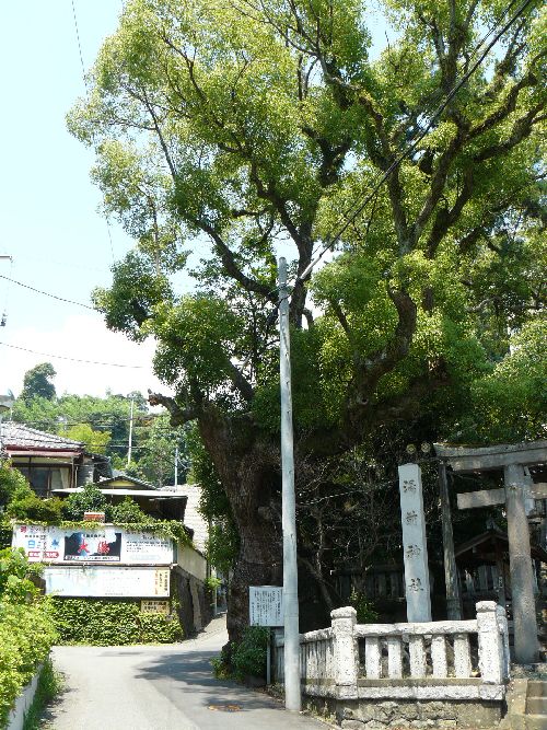 ���O�_��