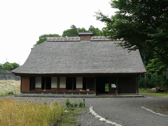 ����_�ƏZ��