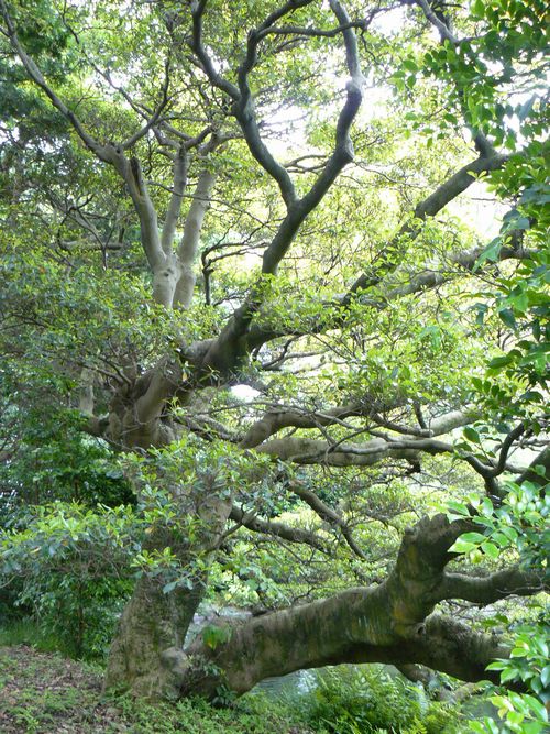 �x�m�s�E���ю�