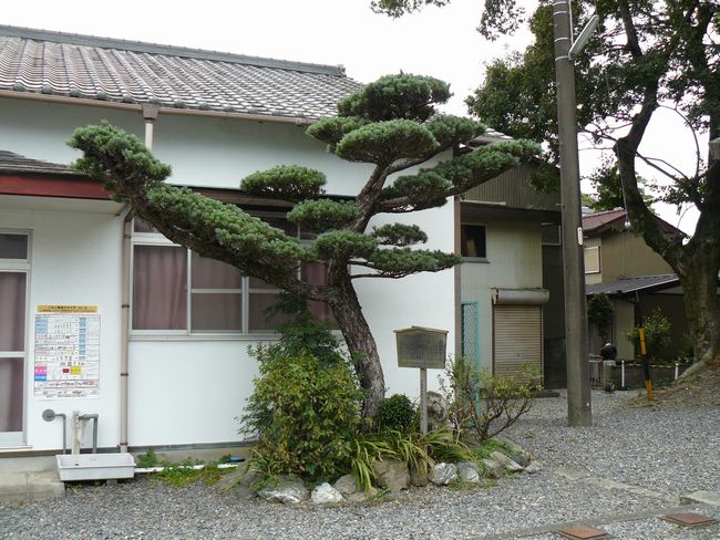 �c����̏�