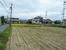 田中城堀跡が田圃になった様子を写した写真