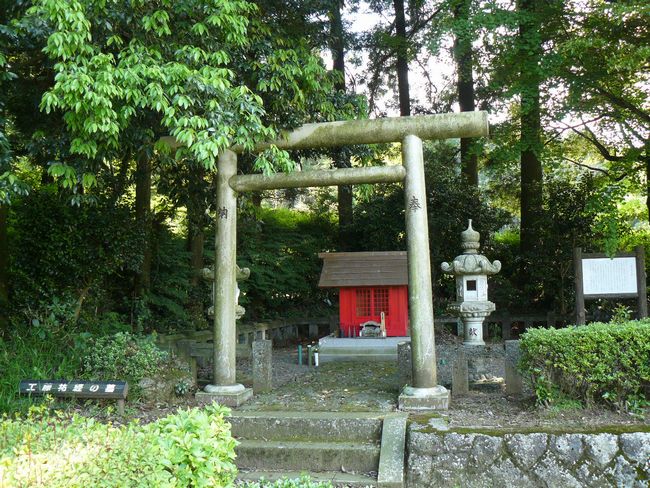 �H���T�o�̕�