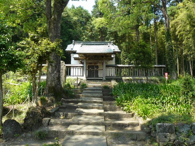 �D�c�M�����