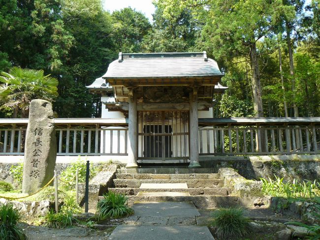 �D�c�M�����