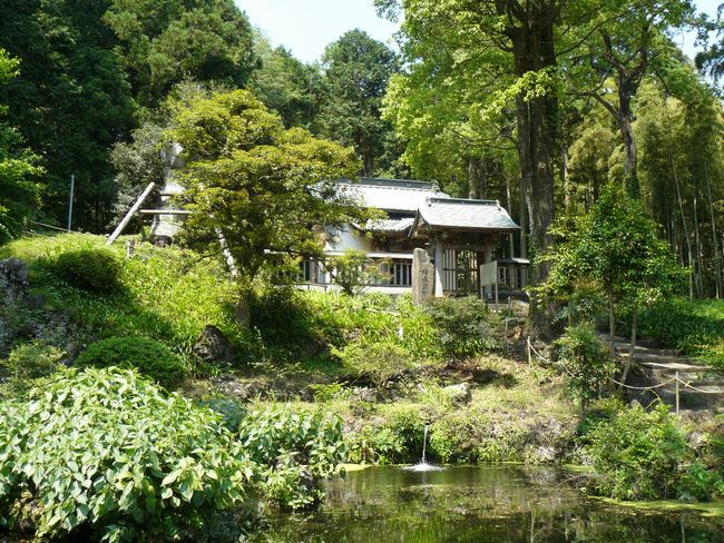 �D�c�M�����