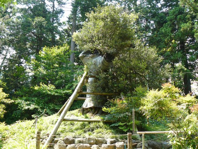 �D�c�M�����