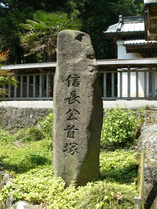 �x�m�{�s�E�D�c�M�����