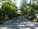 植栽の大木越を見える浜松八幡宮拝殿