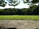浜松城の城跡に整備された芝生