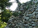 浜松城の古い形式である野面積の石垣を縦長で撮った画像