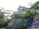 浜松城天守閣を見上げたアングルで撮影した写真