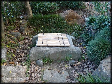 �a����˂��A�b�v�ŎB�e�����摜