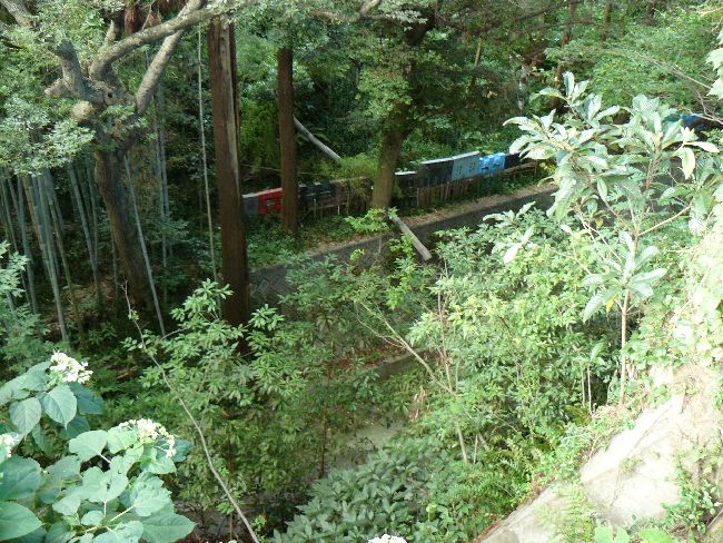 �҃��R�Ð��