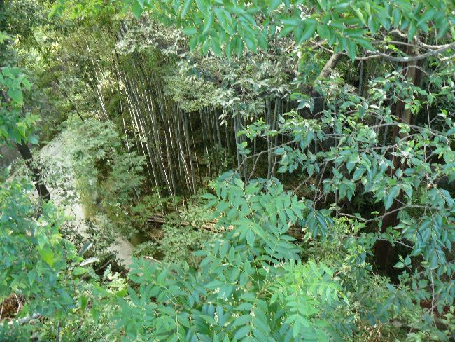 �҃��R�Ð��