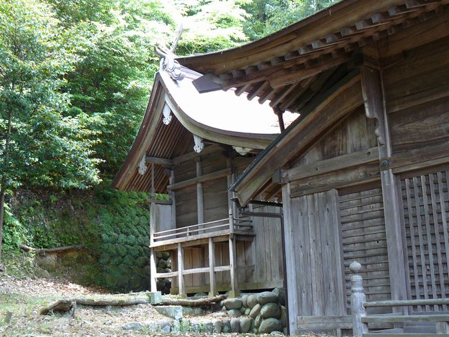 ���}�_��