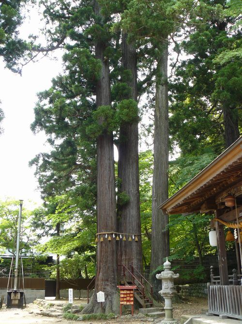 ���}�_��