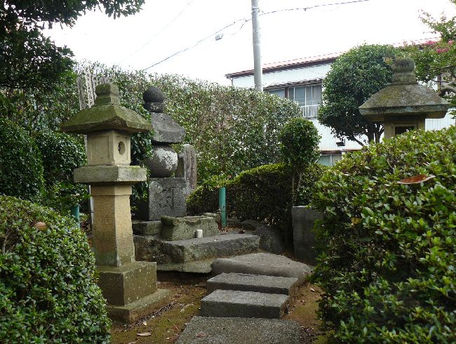 �ɓ��S�e�̕�