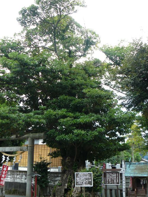 �����_��