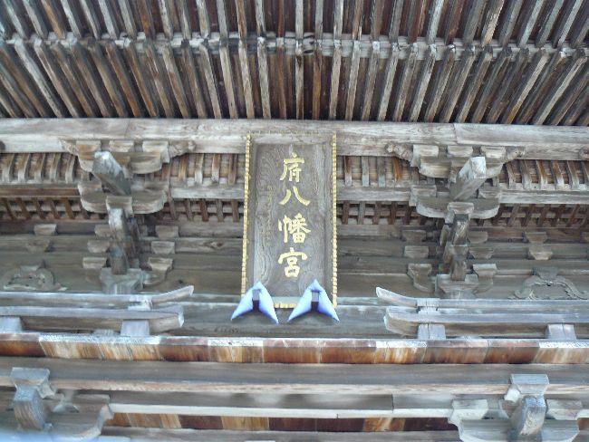 �{�����{