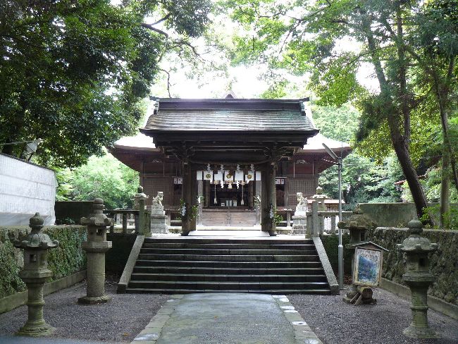 �{�����{