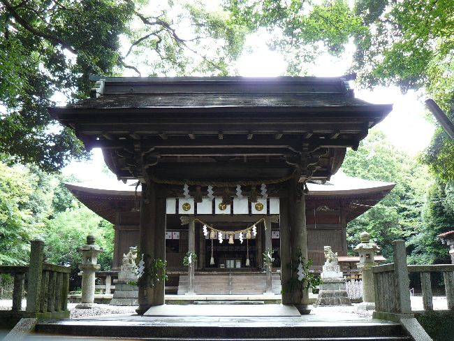 �{�����{