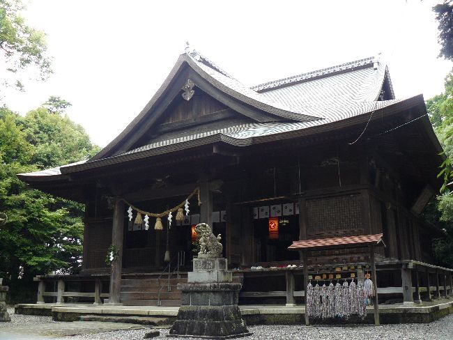 �{�����{