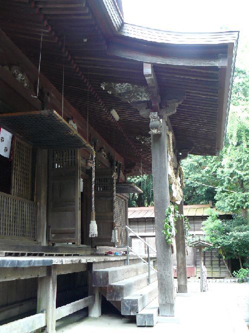 �{�����{