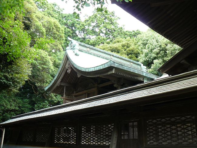 �{�����{