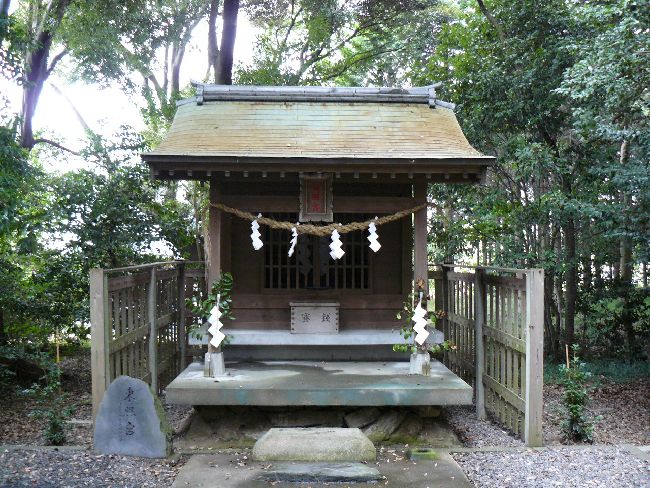 �{�����{