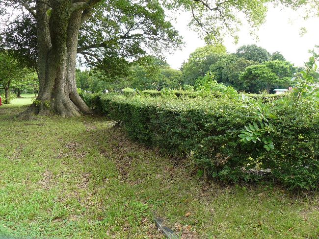 ���]������