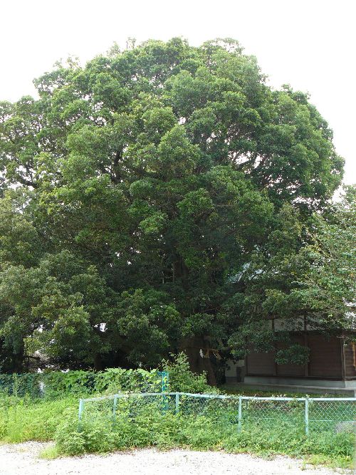 �V��q�_��