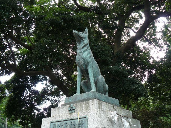 ���t�V�_��