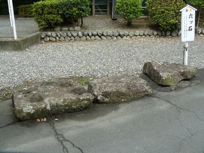 ���t�V�_��