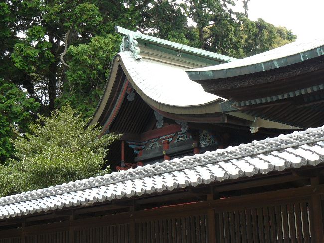 ���t�V�_��