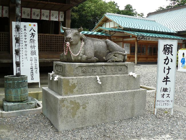 ���t�V�_��