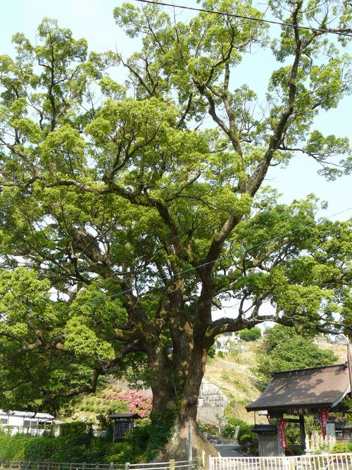 �ɓ��s�E���y��