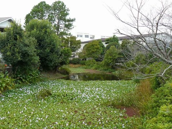 �c���ˁE�鉺���E�c����