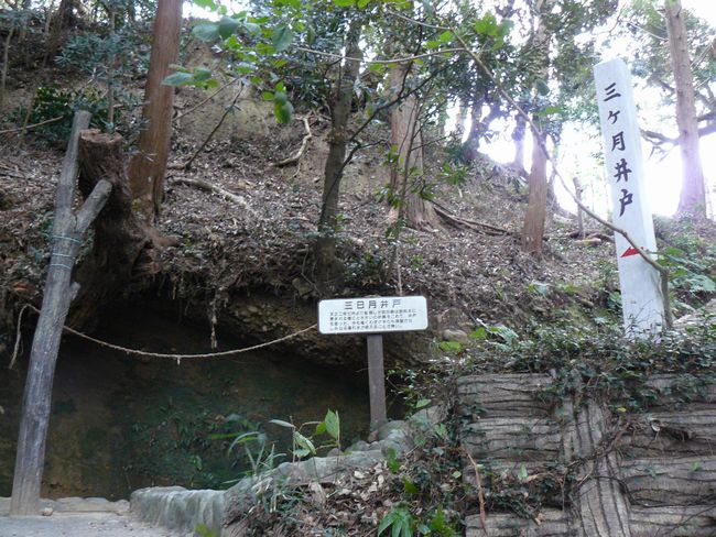 ���V�_��