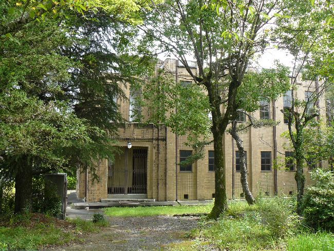 ����{�񓿎А}����