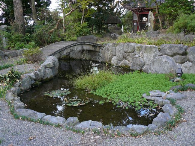 �������@