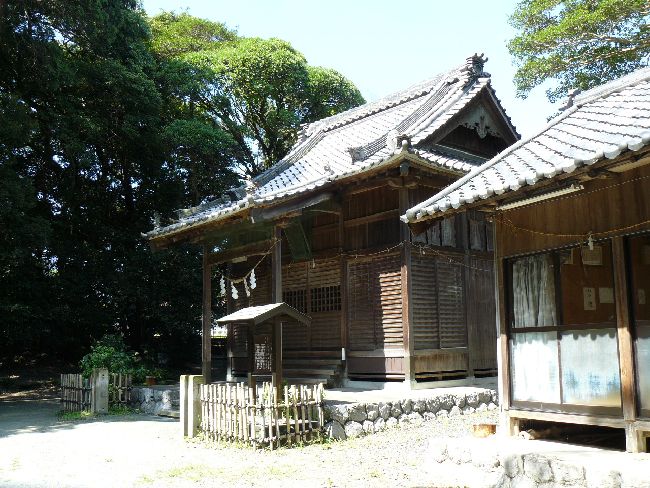 �����_��