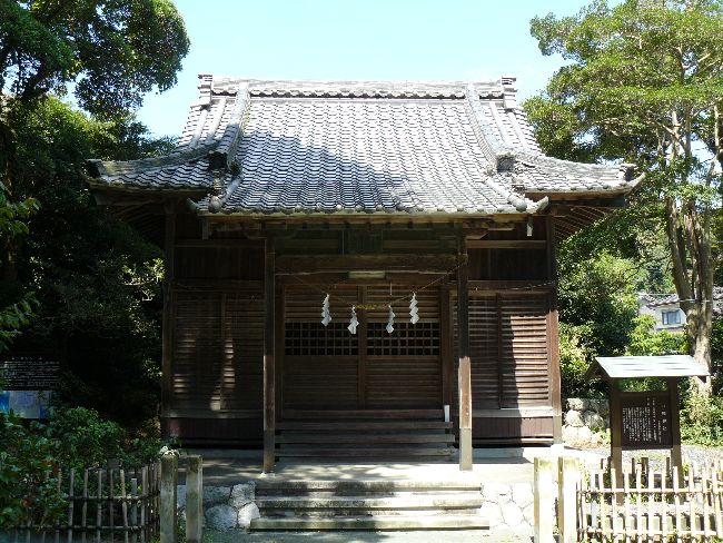 �����_��